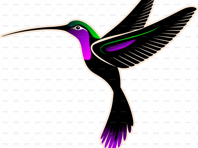 Photo de colibri PNG