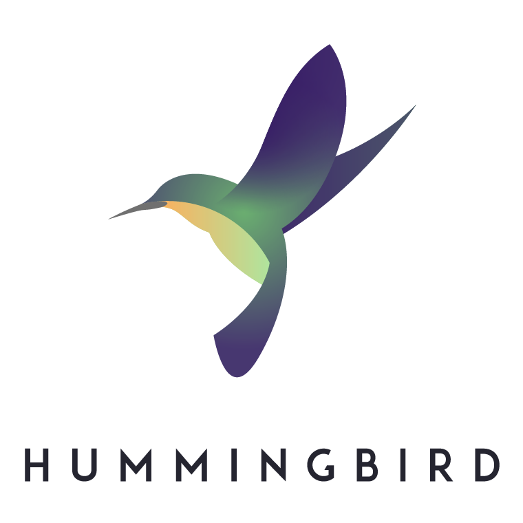 Hummingbird vector PNG image