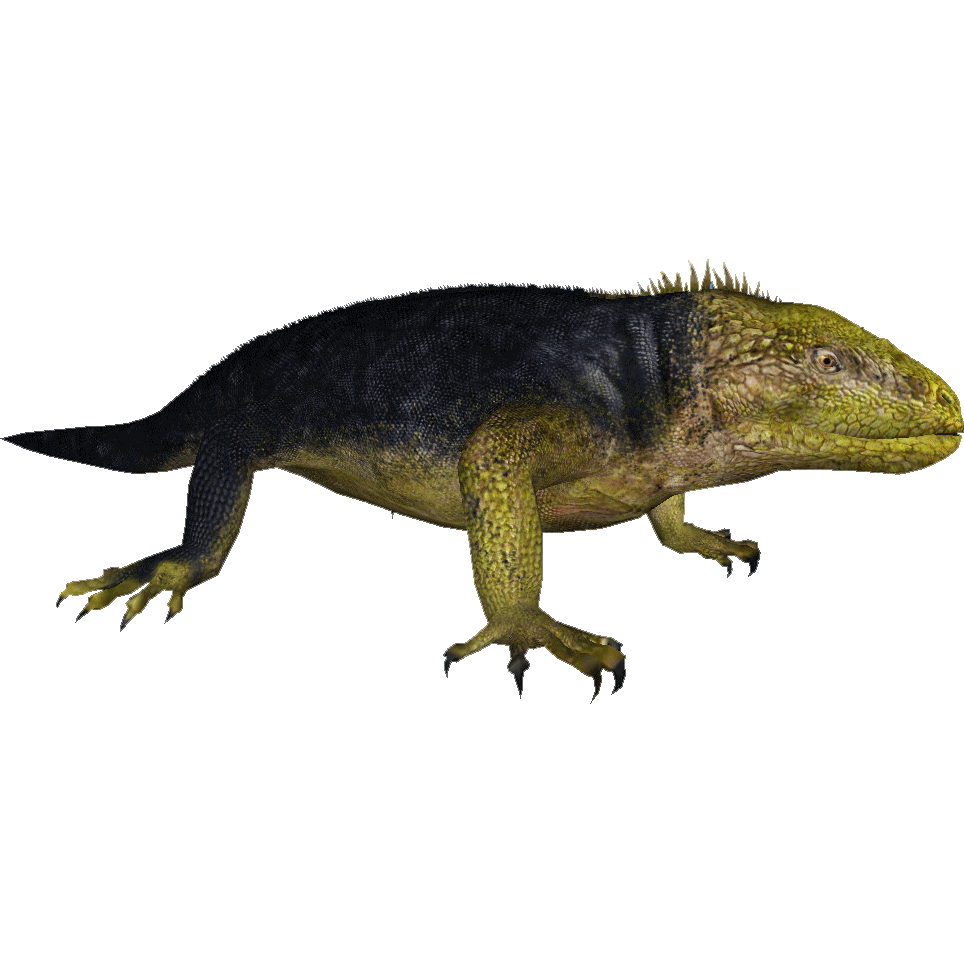 Iguana PNG HQ Picture