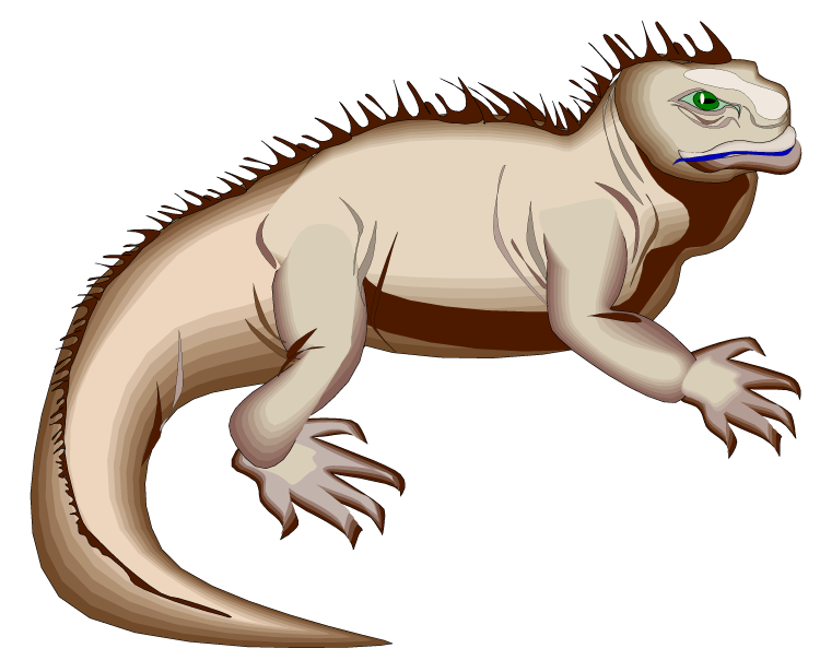 Iguana Vector Download PNG Image