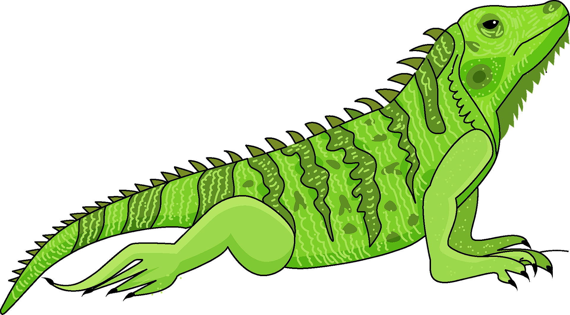 Iguana Vector Free PNG Image