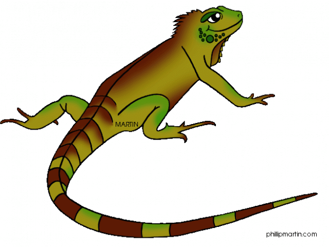 Iguana Vector PNG Pic