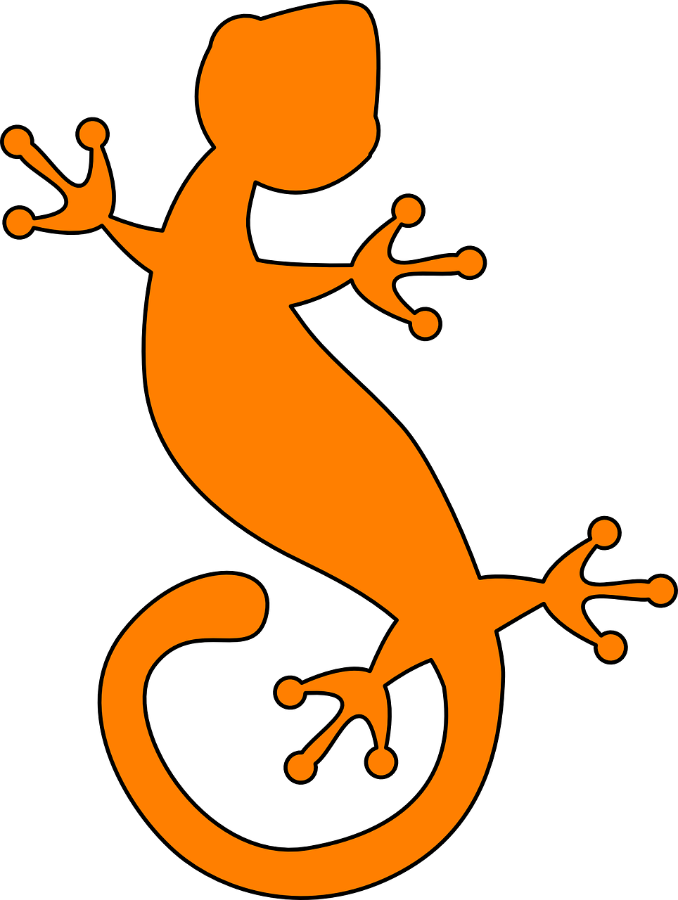 Iguana Vector Transparent Image
