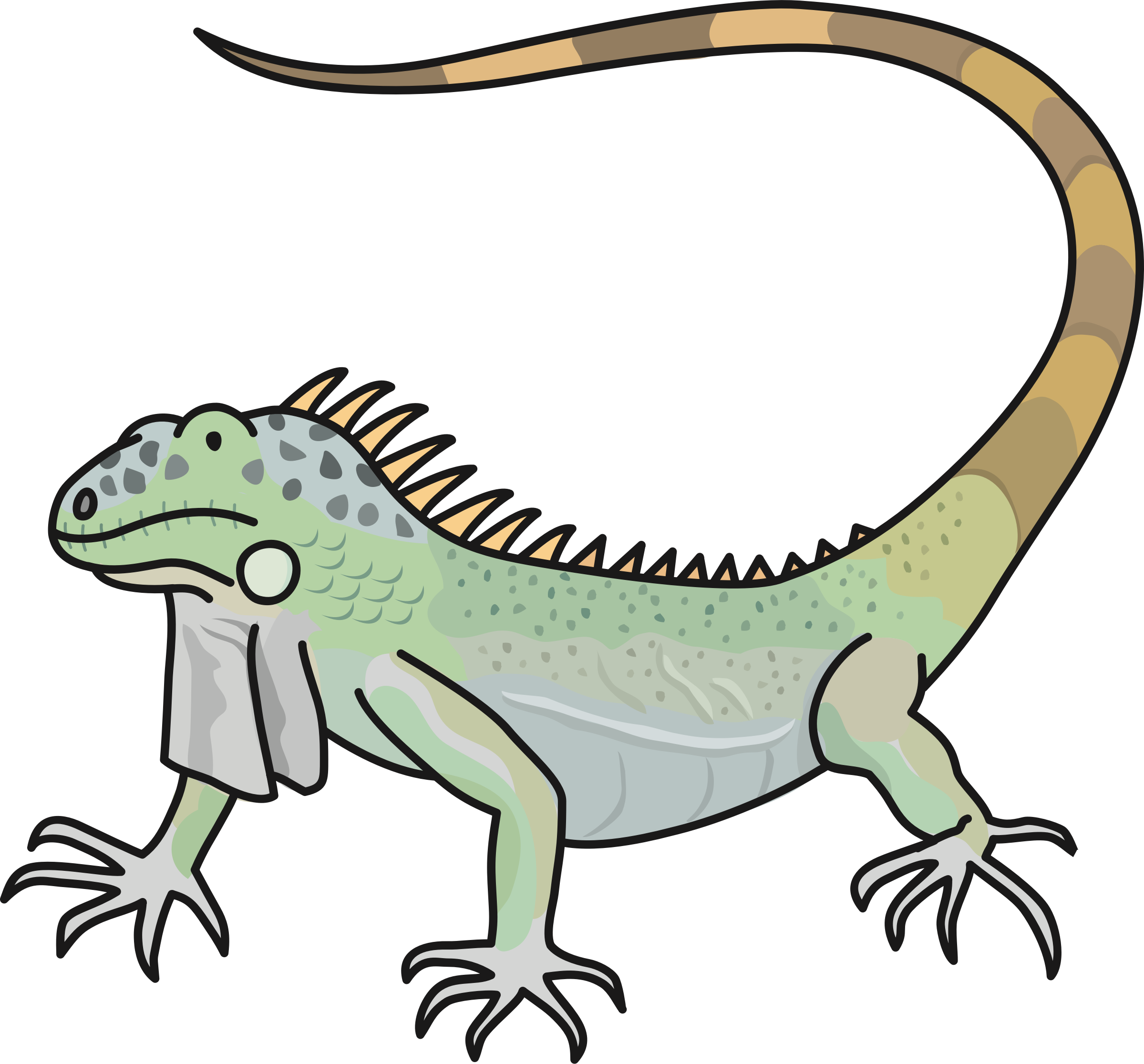 Iguana Vector Transparent
