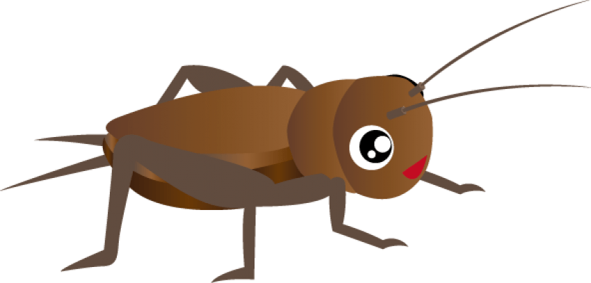 Insect Vector PNG