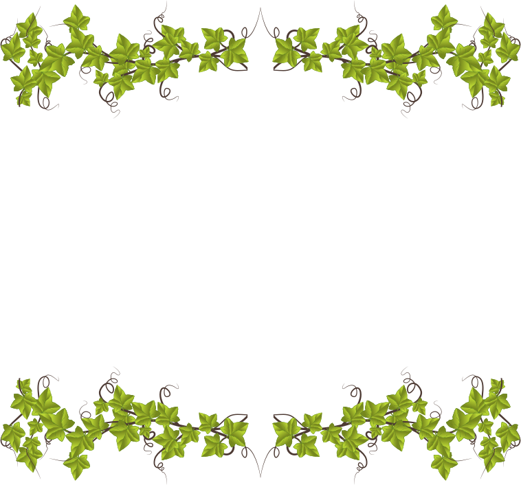 Ivy feuille PNG pn HQ