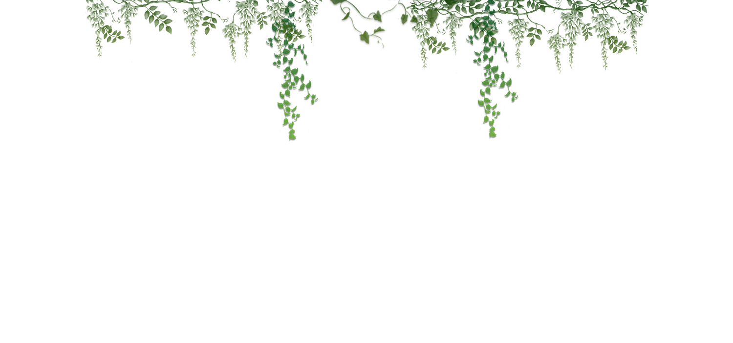 Ivy PNG Picture