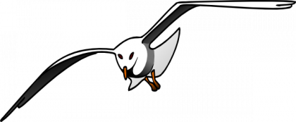Albatross PNG Pic