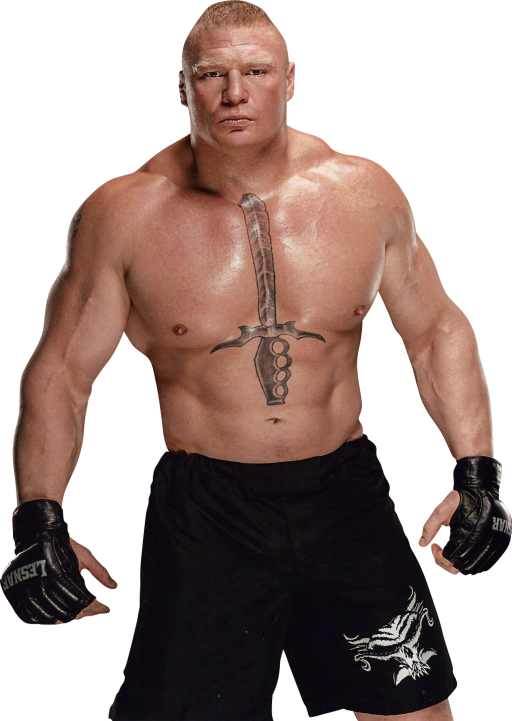 Brock Lesnar Trasparente Image