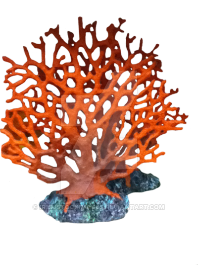 Sfondo Trasparente corallo PNG