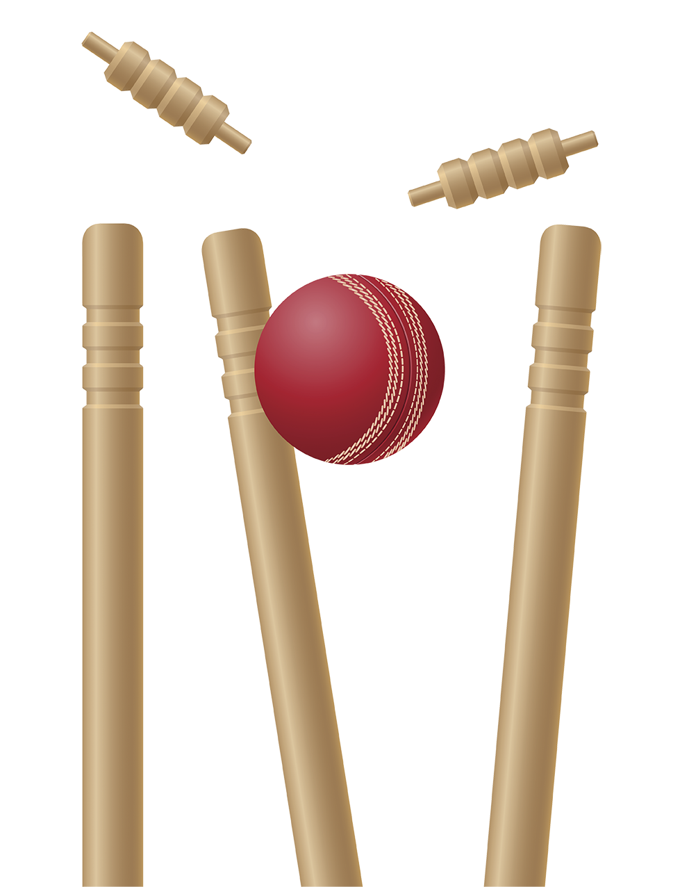 Cricket Stumps PNG Pic
