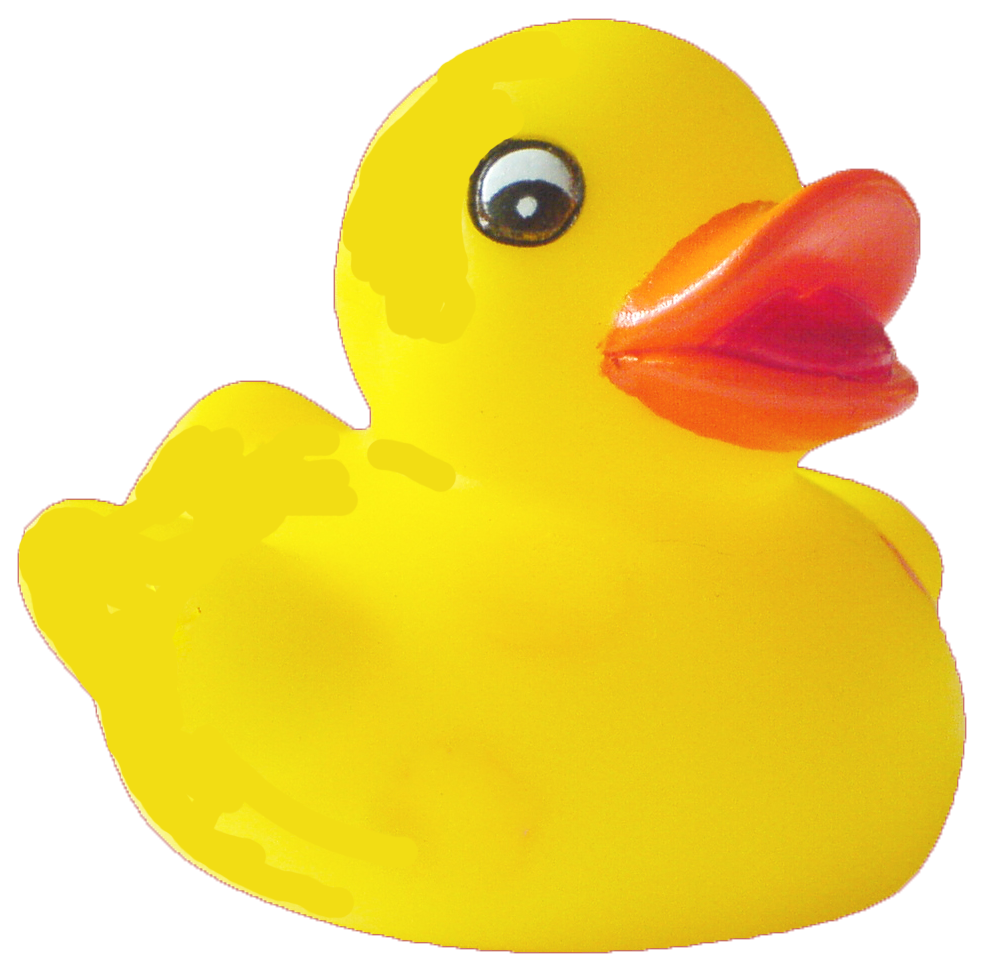 Duck PNG Image with Transparent Background