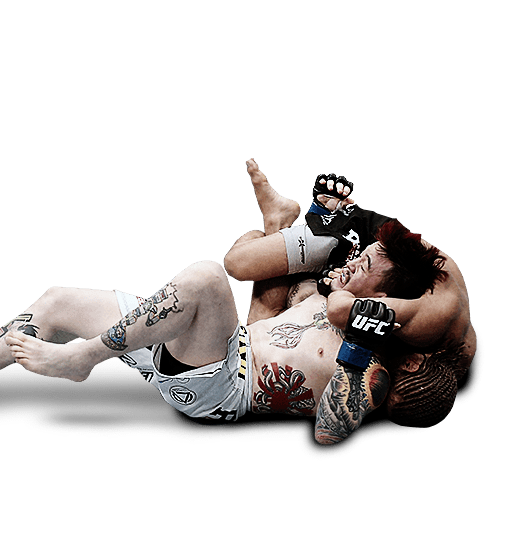 EA Sports UFC Download Transparent PNG Image