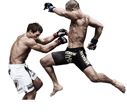 EA Sports UFC PNG Background Image