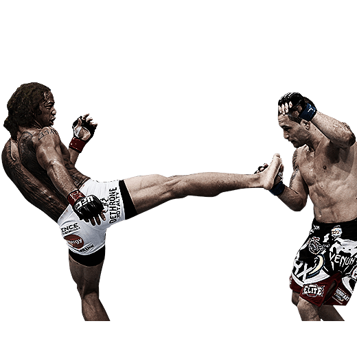 EA Sports UFC PNG Image with Transparent Background