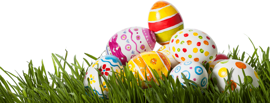 Easter Grass Eggs PNG Photo