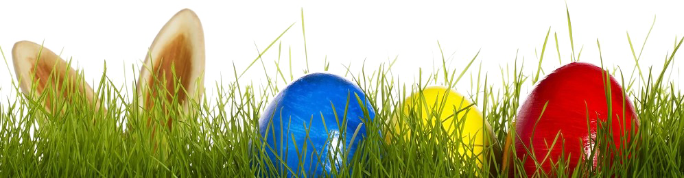 Easter Grass Eggs PNG Transparent Image