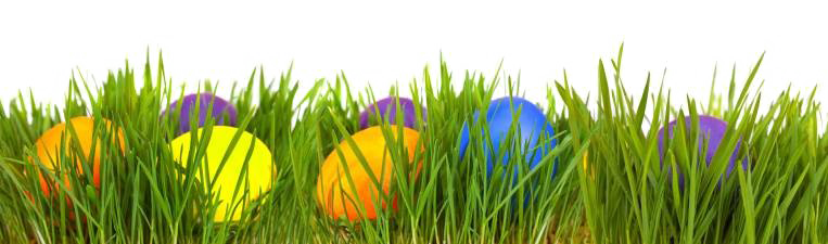 Easter Grass Eggs Transparent Image