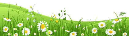 Easter Grass Flowers PNG Background Image | PNG Arts