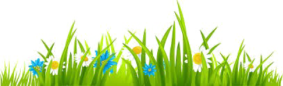 Easter Grass Flowers PNG High-Quality Image