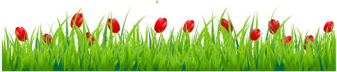Easter Grass Flowers PNG Pic