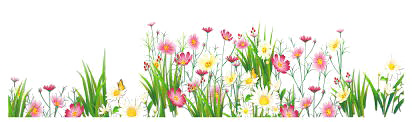 Easter Grass Flowers PNG Picture