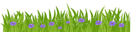 Easter Grass Flowers Transparent Background PNG
