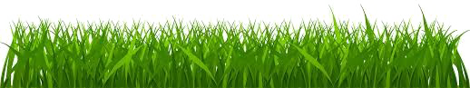 Easter Grass PNG Free Download