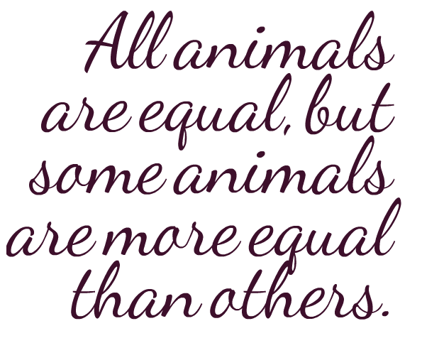 Equality Quotes PNG Transparent Image