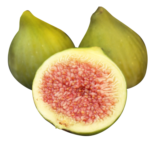 Fig Free PNG Image