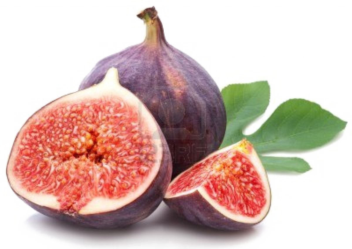 Fig PNG Free Download