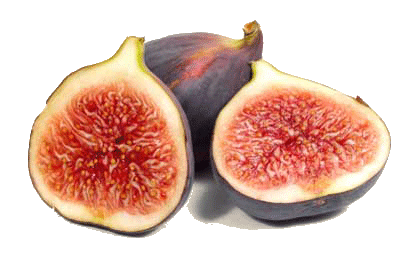 Fig PNG Pic