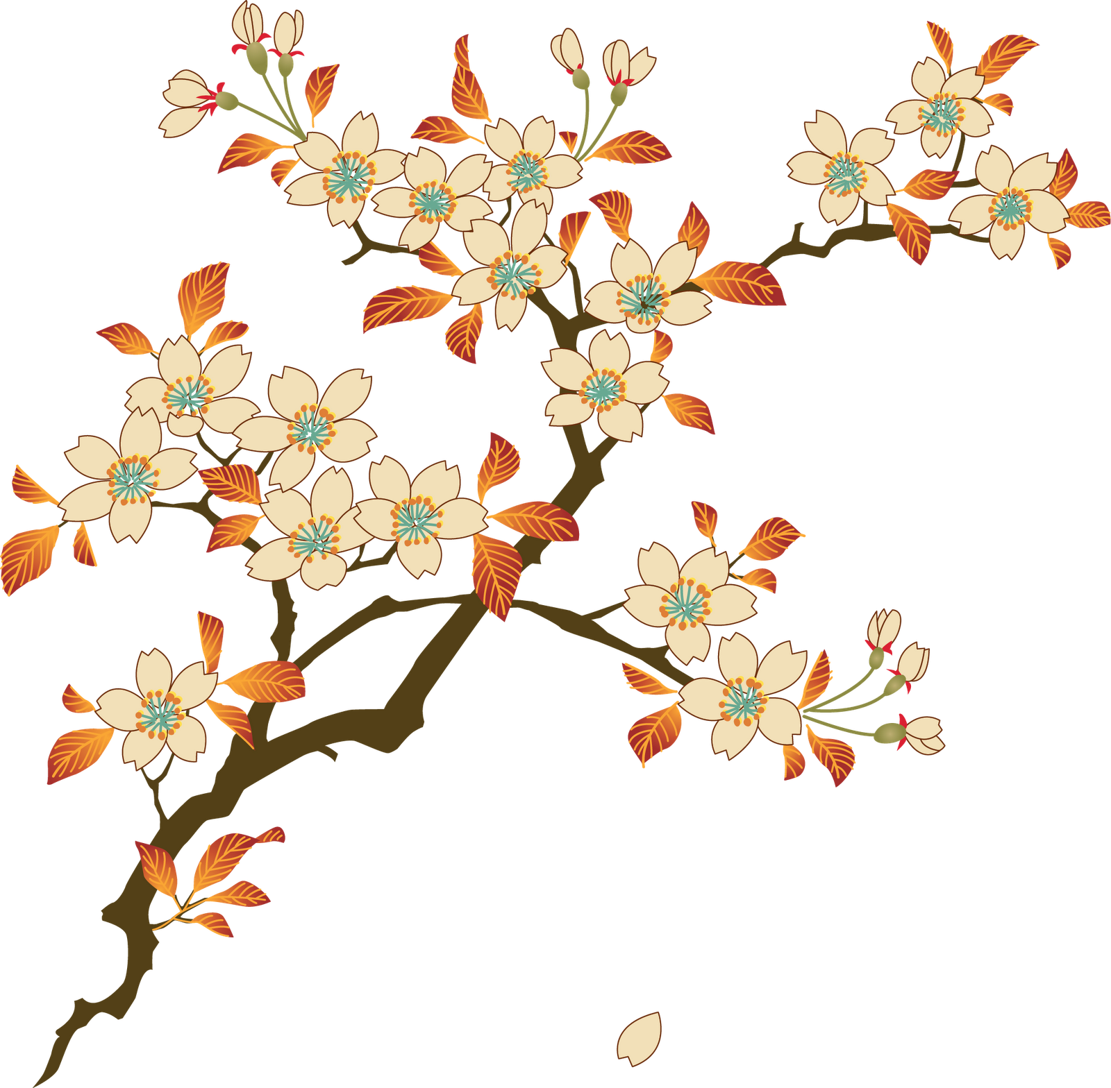 Floral PNG High-Quality Image