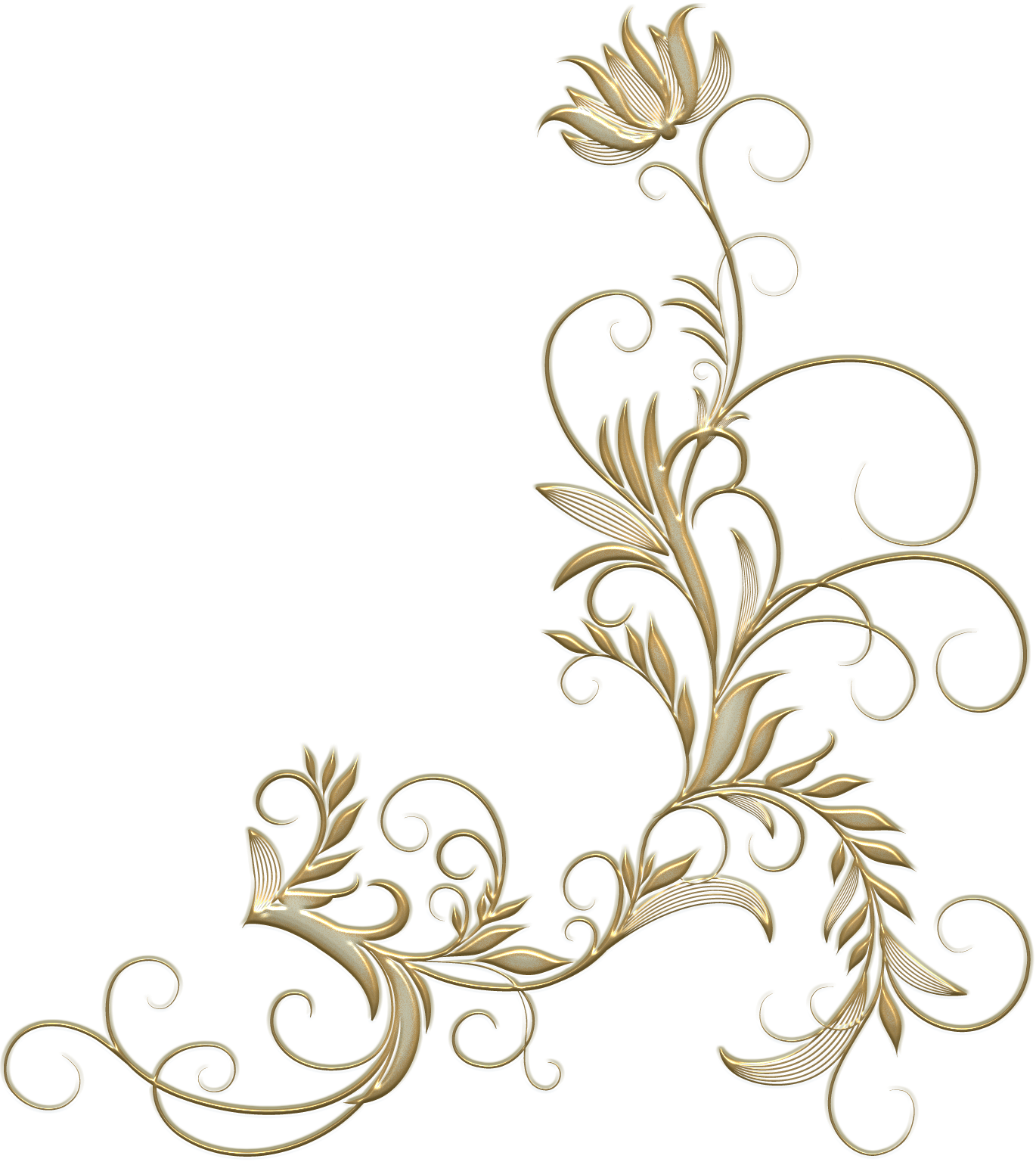Foto de borda floral dourado PNG