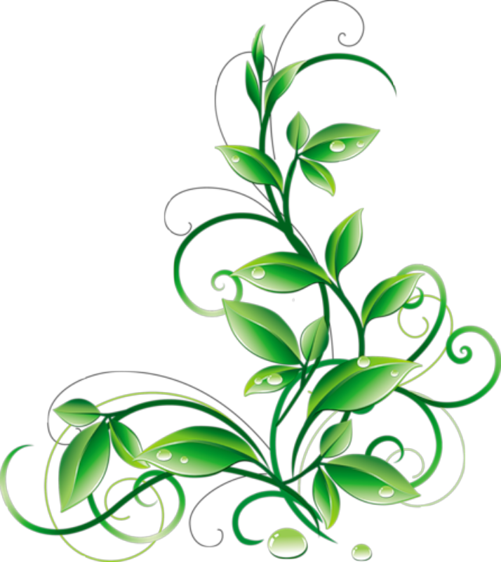 Green Floral Border PNG Download Image