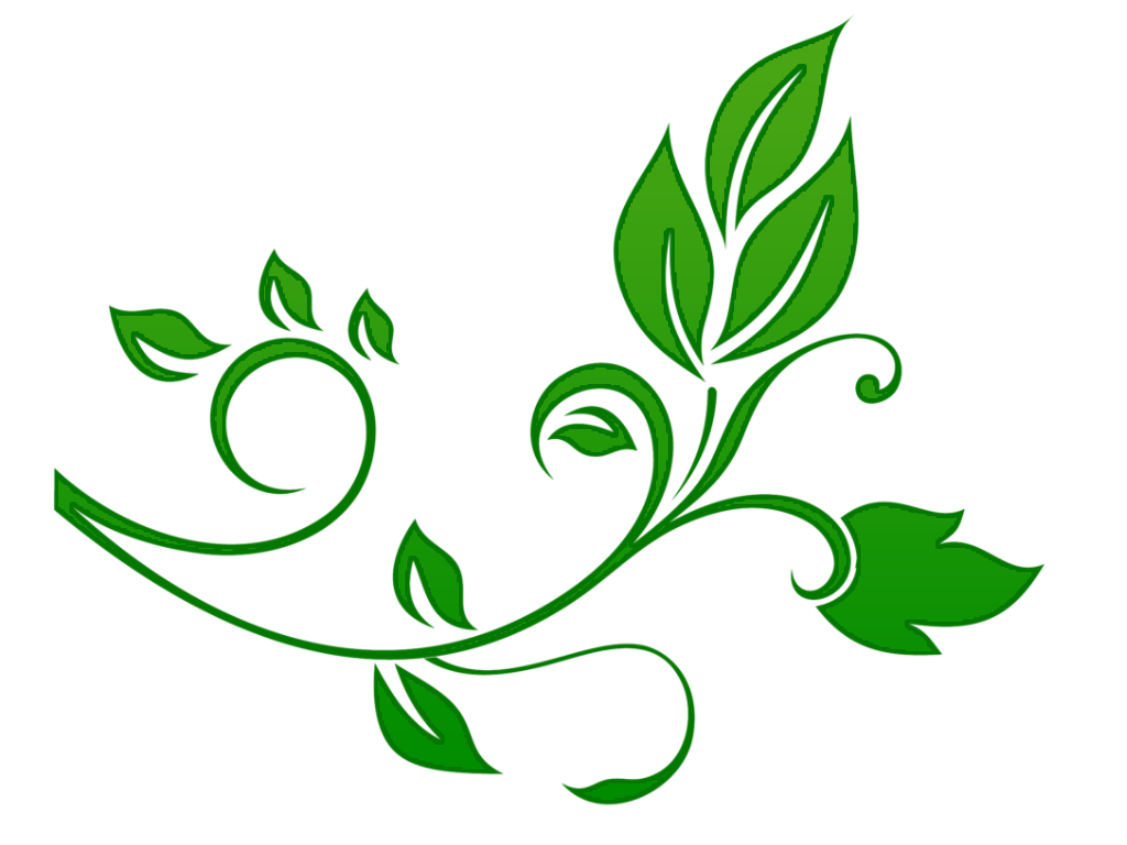 Fundo de imagem de borda floral verde verde