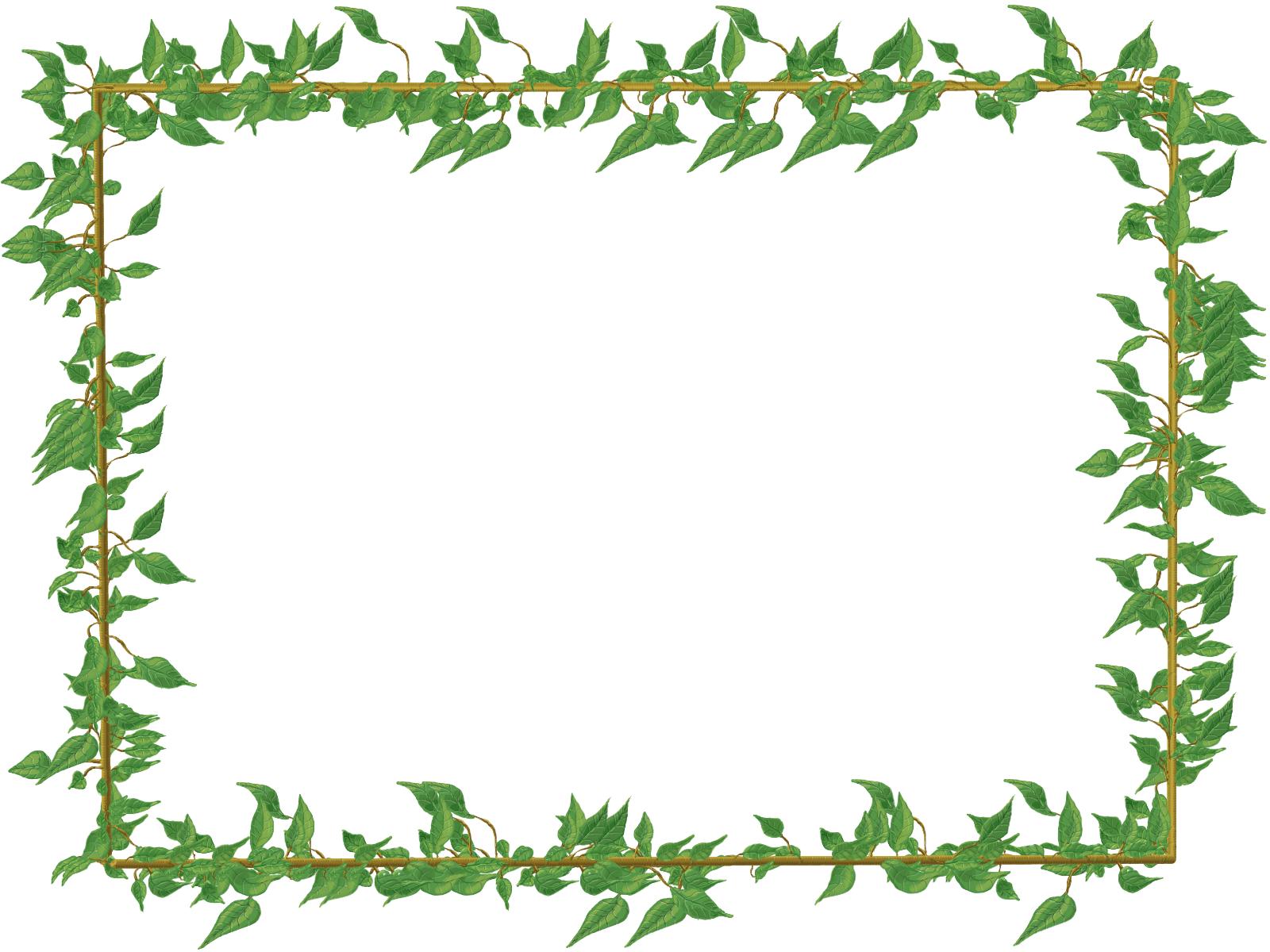 Green Floral Border PNG Picture