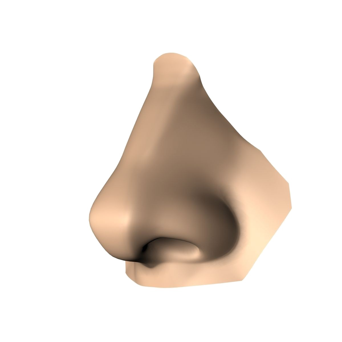 Nose PNG High-Quality Image