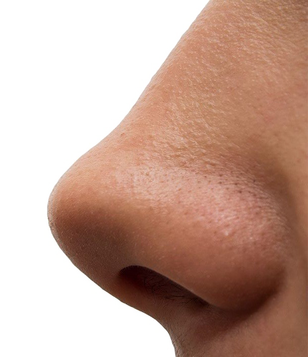 Нос PNG прозрачный образ
