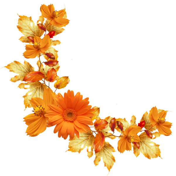 Orange Floral Border PNG Image Background