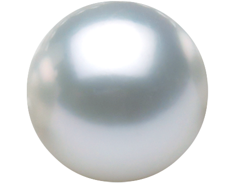 Pearl PNG Transparent Image