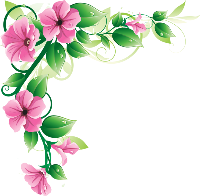 Pink Floral Border PNG Background Image
