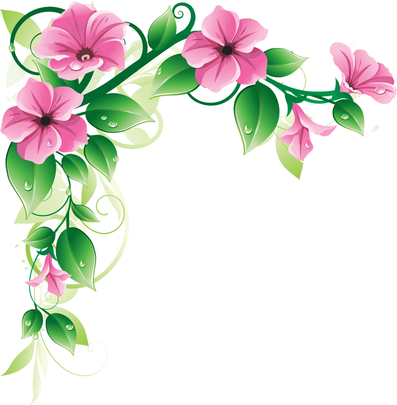 Imagem de PNG de borda floral rosa