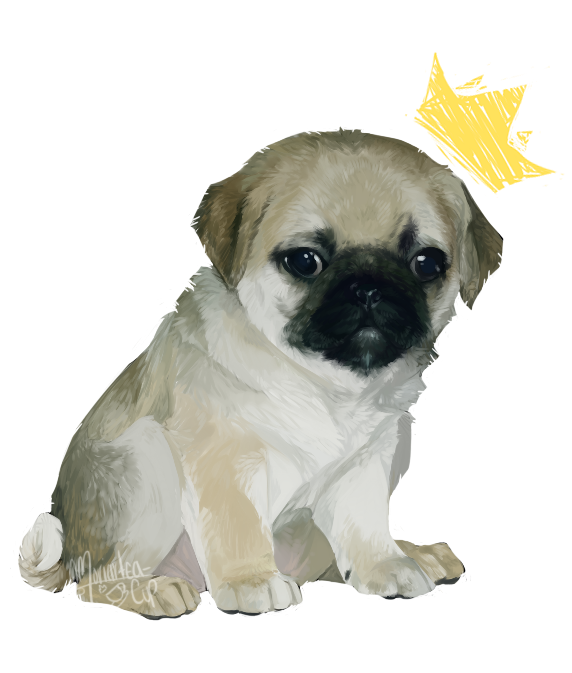 Pug PNG Picture