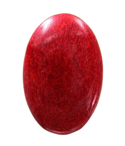 Red Coral PNG Image