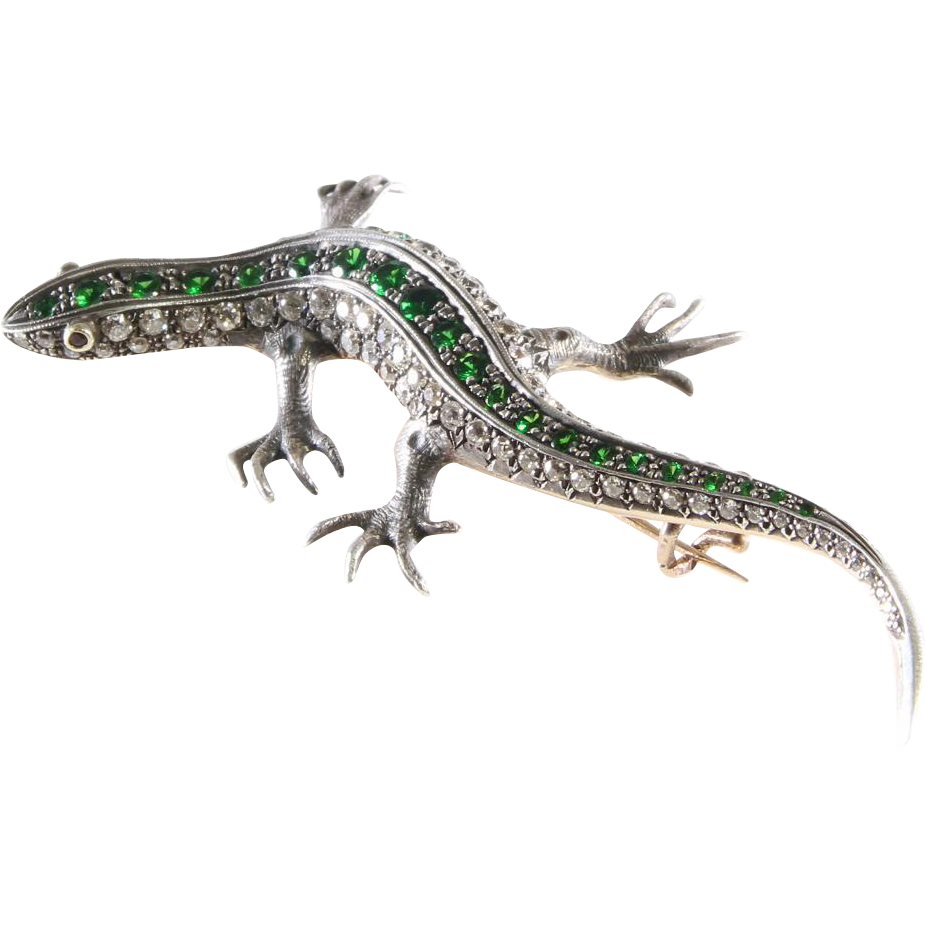 Salamander PNG Gambar Transparan