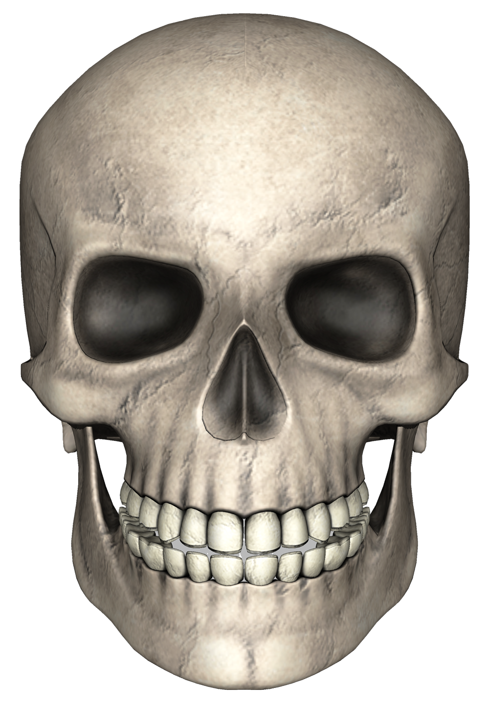 Skull Bones PNG Free Download
