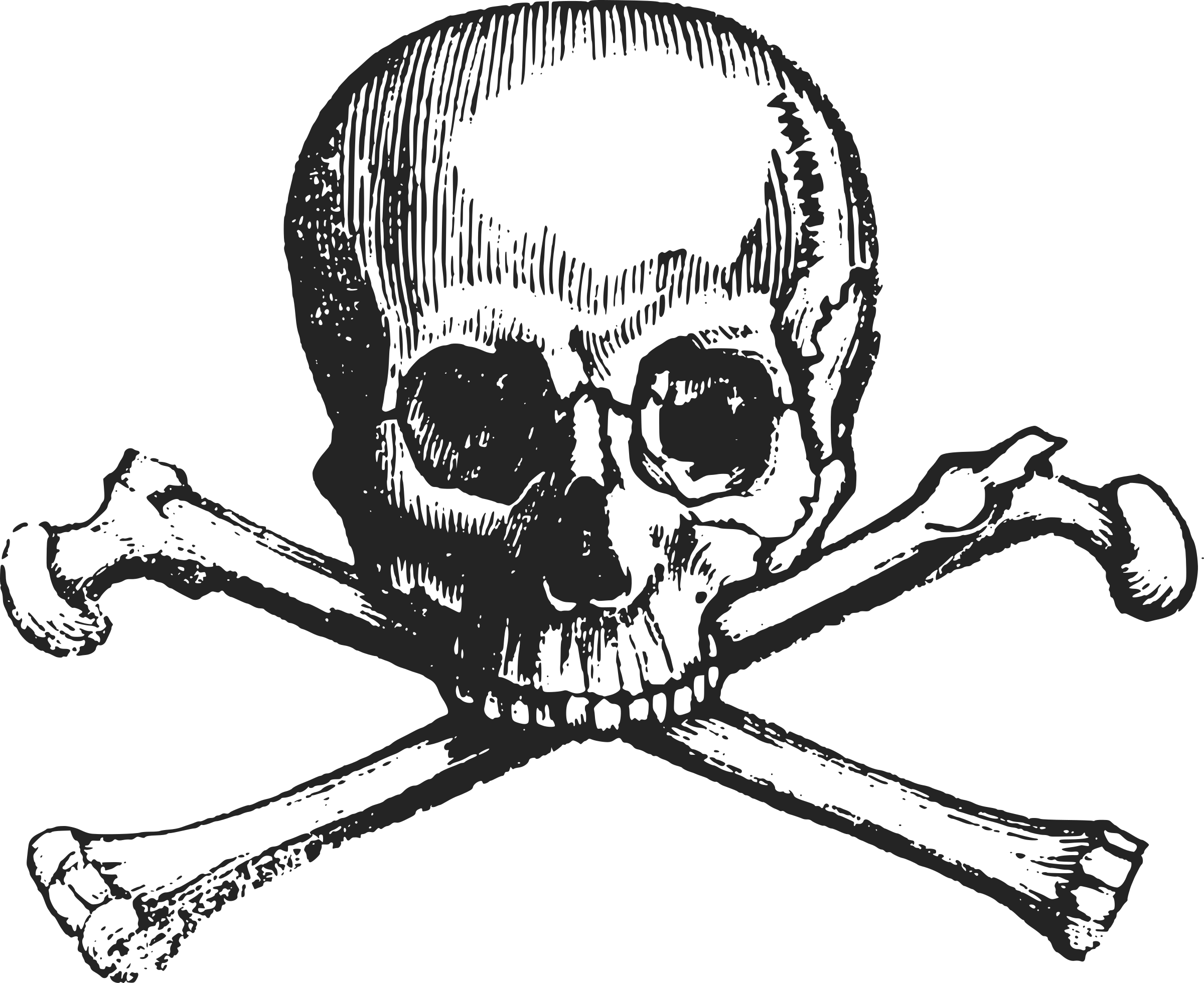 Skull Bones Transparent Background PNG