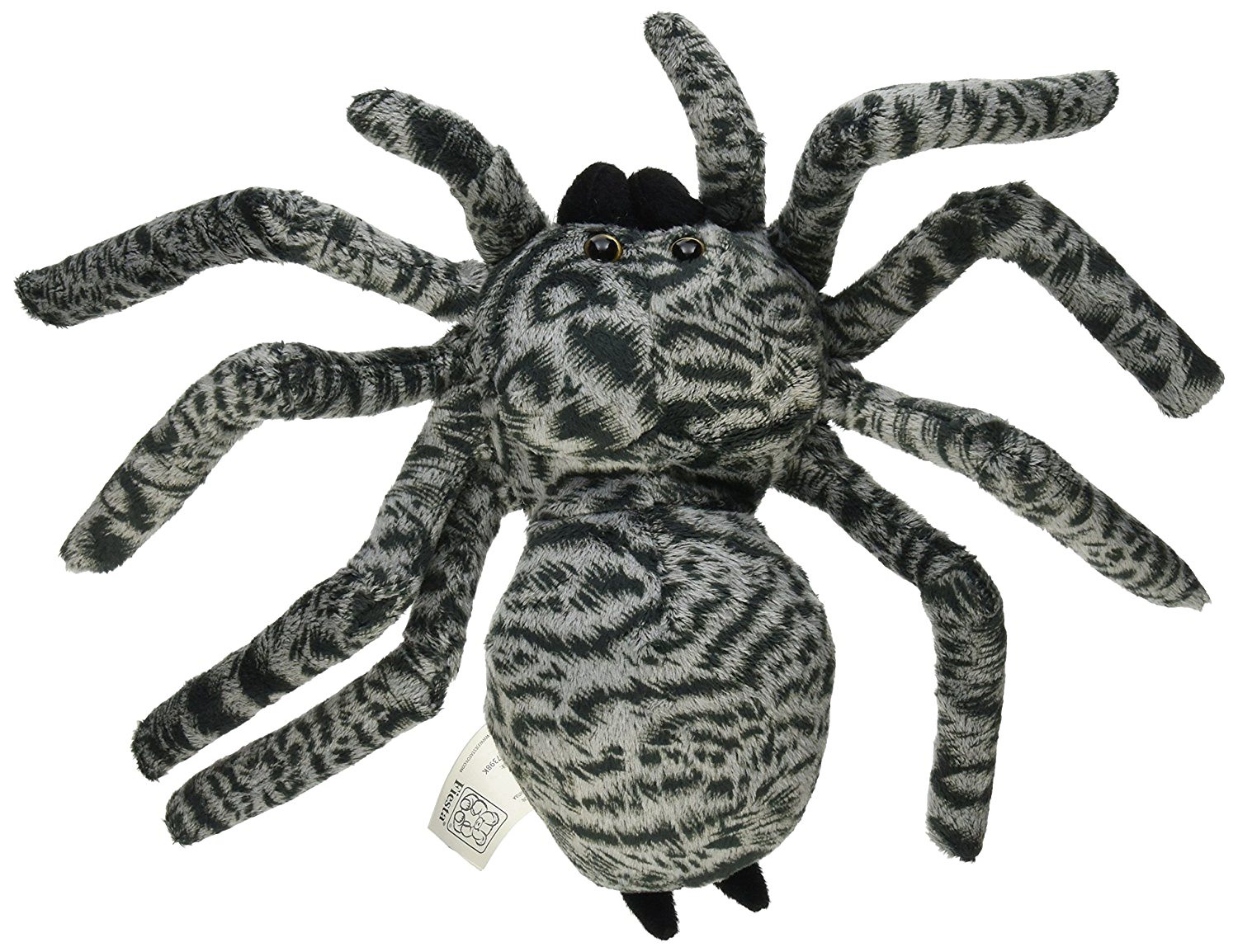 Photo Spider PNG