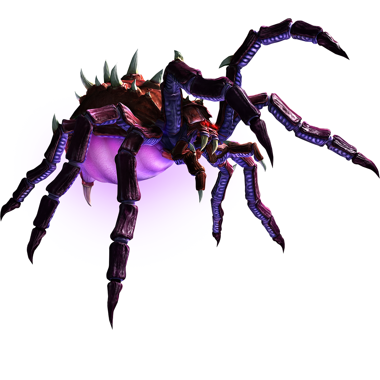 Pic PNG Spiderture